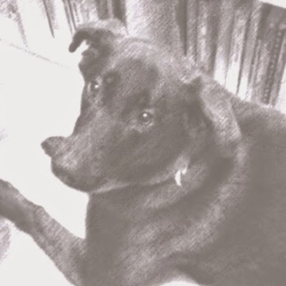 Meet your Posher, Jacki - Picture 1 of 1